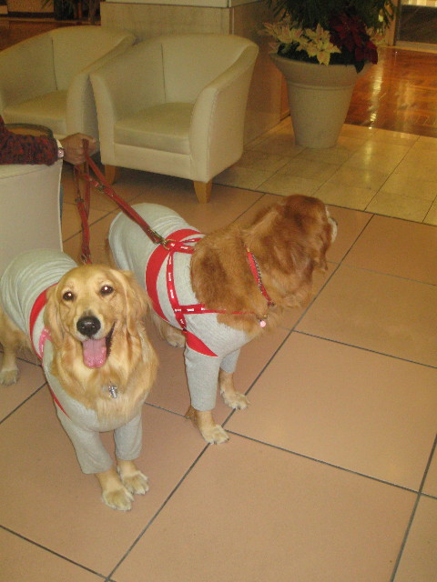 ファイル 504-5.jpg