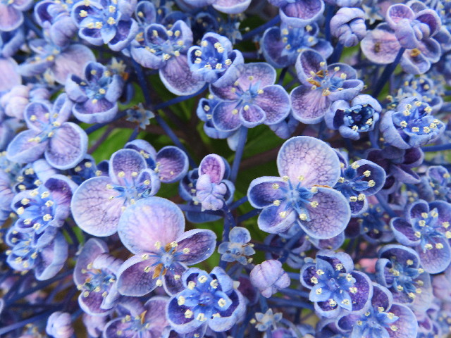 ファイル 5040-1.jpg