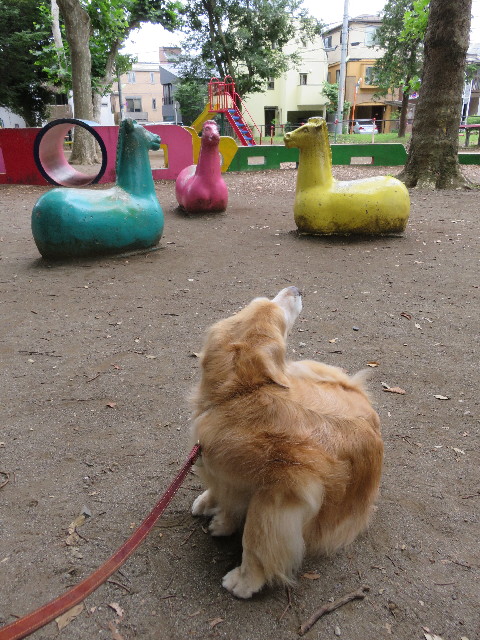 ファイル 5040-3.jpg