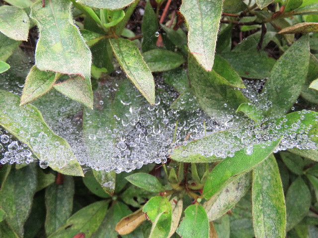 ファイル 5041-2.jpg