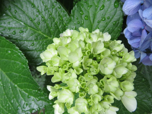 ファイル 5041-4.jpg