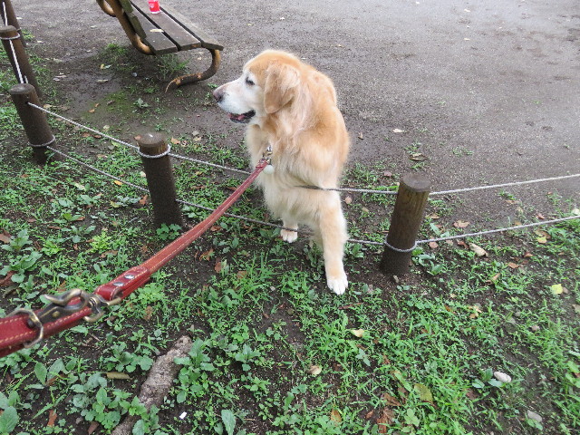 ファイル 5042-2.jpg