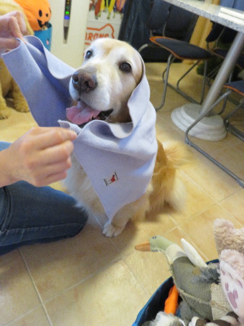 ファイル 5042-5.jpg