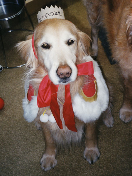 ファイル 5043-2.jpg