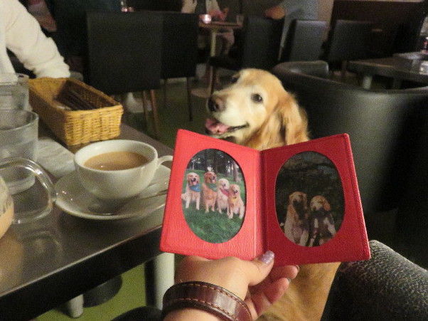 ファイル 5044-1.jpg