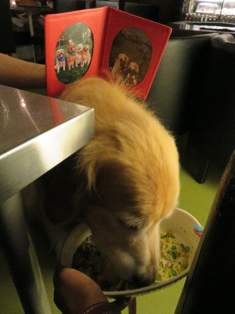 ファイル 5044-2.jpg