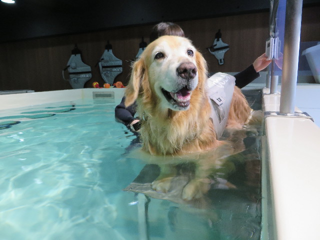 ファイル 5046-2.jpg