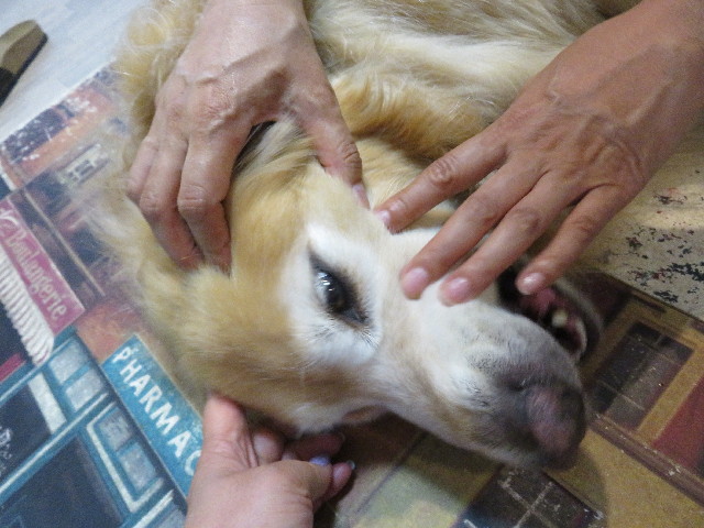 ファイル 5048-1.jpg