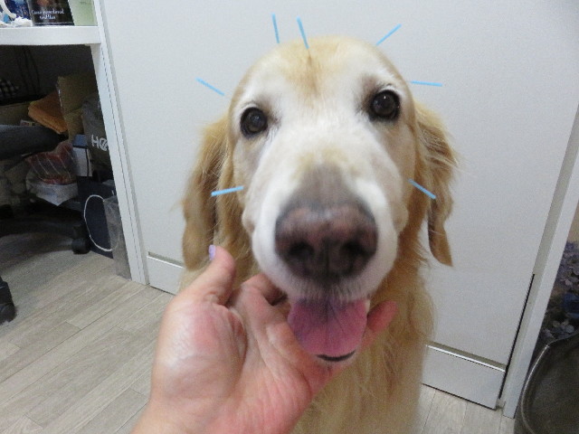 ファイル 5048-3.jpg