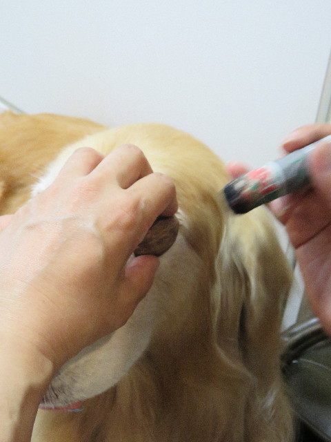 ファイル 5048-4.jpg