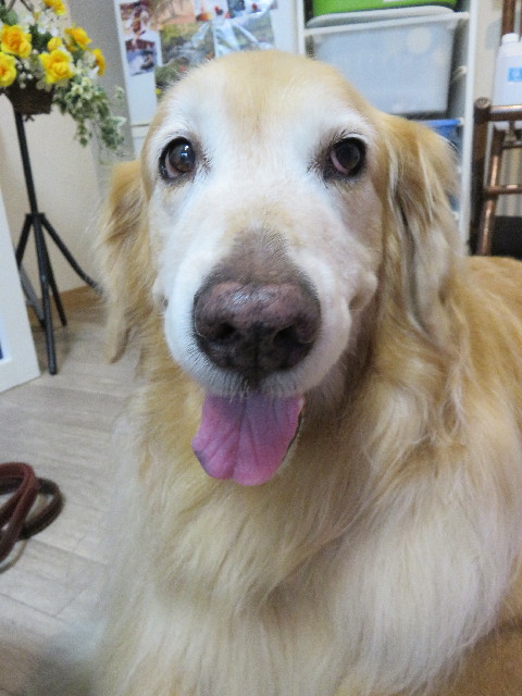 ファイル 5048-5.jpg