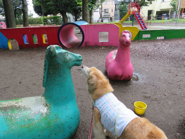 ファイル 5049-1.jpg