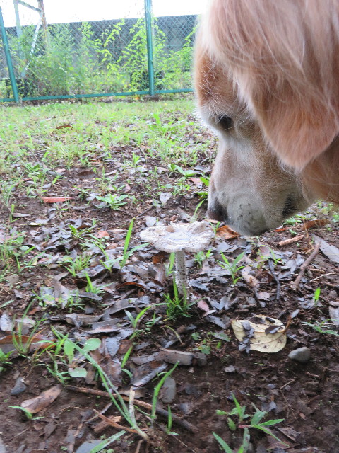 ファイル 5049-2.jpg