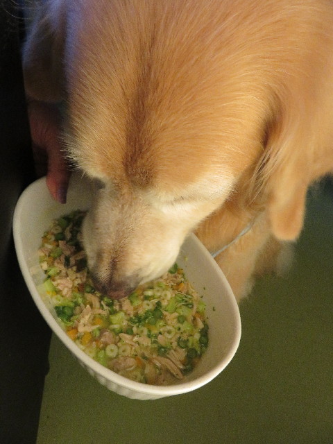 ファイル 5049-3.jpg