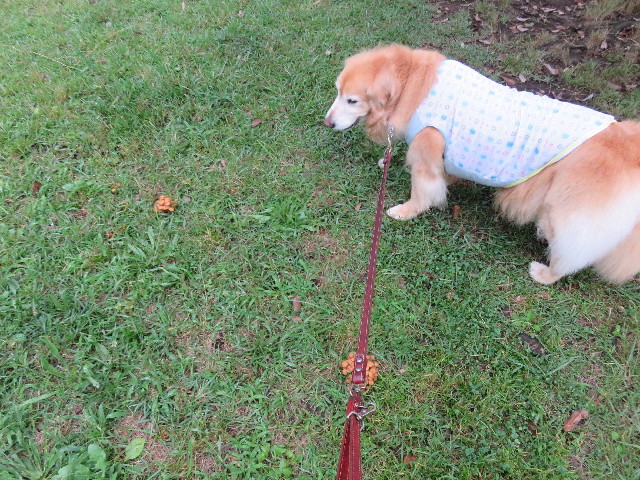 ファイル 5049-5.jpg