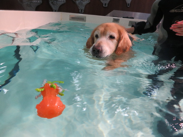 ファイル 5050-2.jpg