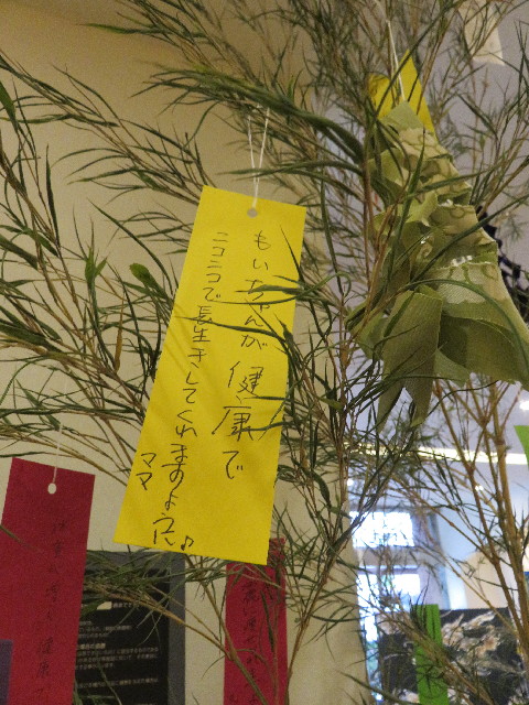 ファイル 5053-3.jpg