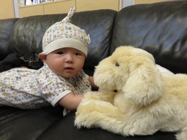 ファイル 5054-2.jpg