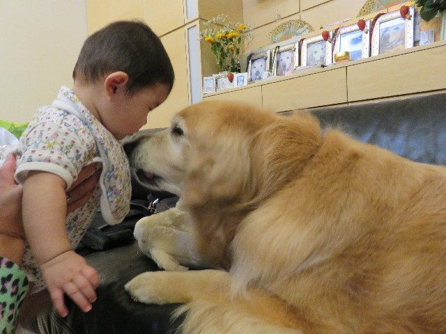 ファイル 5054-4.jpg