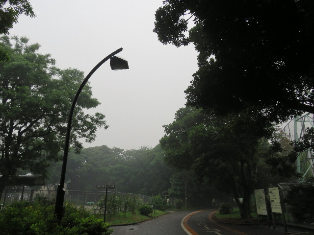 ファイル 5057-1.jpg