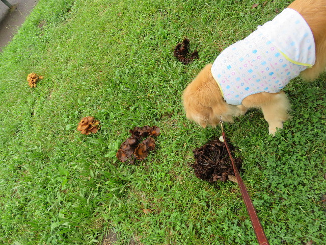 ファイル 5057-2.jpg