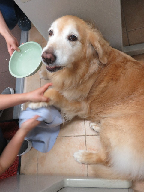 ファイル 5059-2.jpg