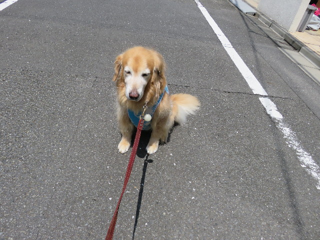 ファイル 5059-3.jpg