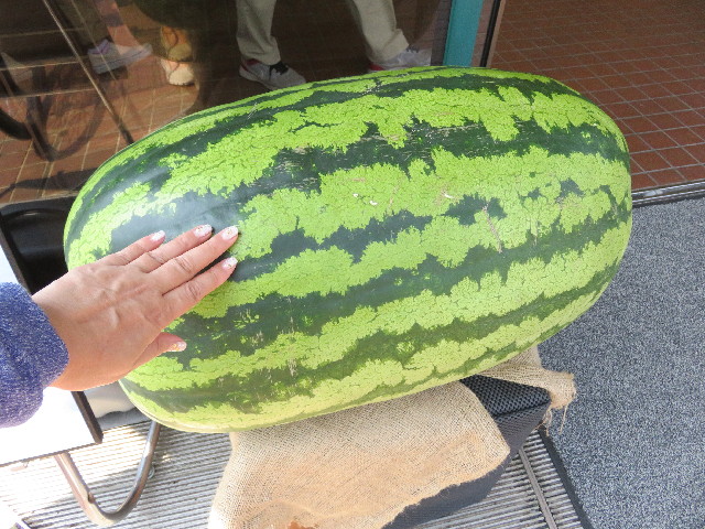 ファイル 5063-2.jpg