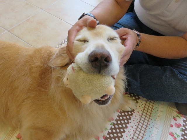 ファイル 5063-3.jpg