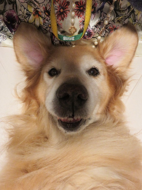 ファイル 5063-4.jpg