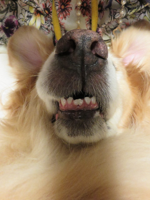 ファイル 5063-5.jpg