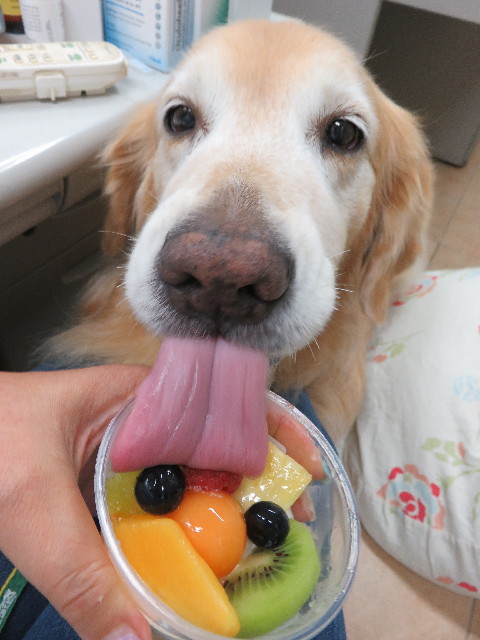 ファイル 5065-1.jpg