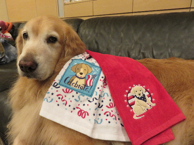 ファイル 5065-2.jpg