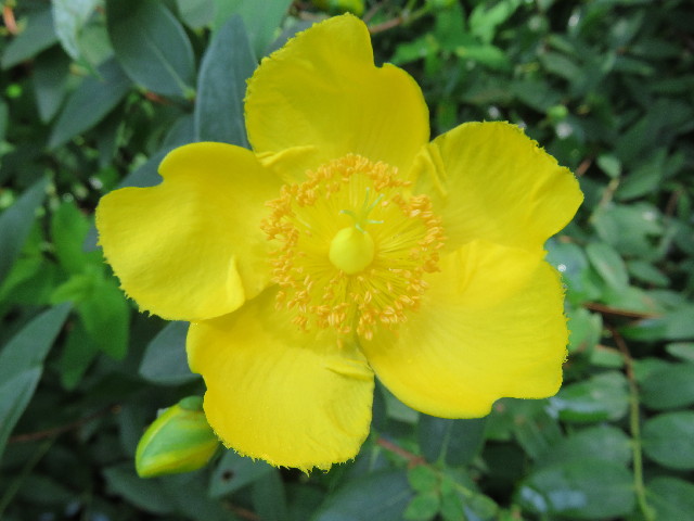 ファイル 5065-3.jpg