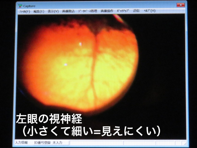 ファイル 5066-2.jpg