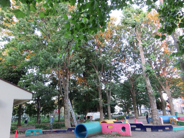 ファイル 5068-1.jpg