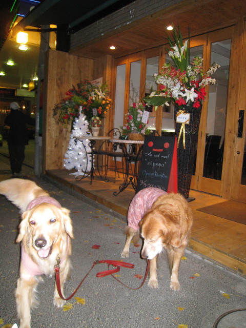 ファイル 507-1.jpg