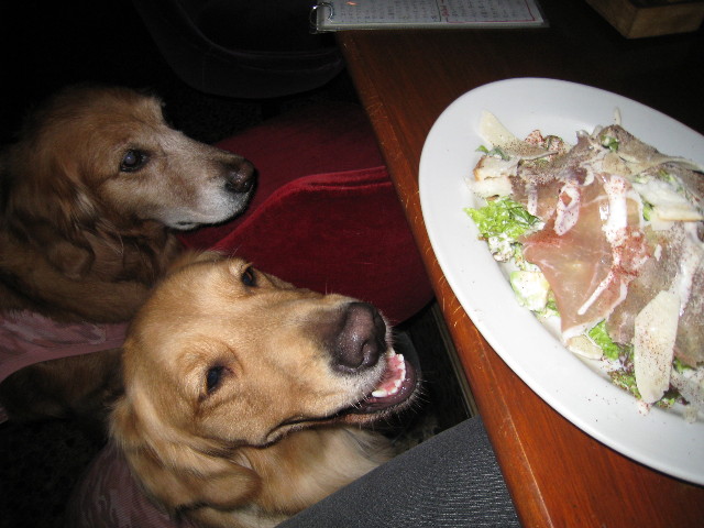 ファイル 507-3.jpg