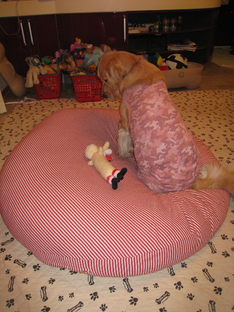 ファイル 507-5.jpg