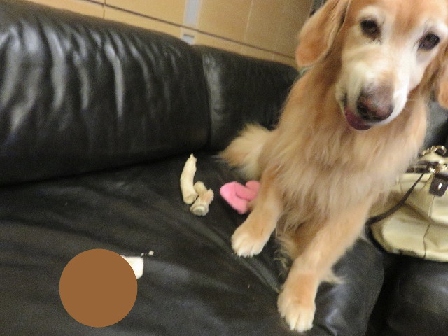 ファイル 5070-1.jpg