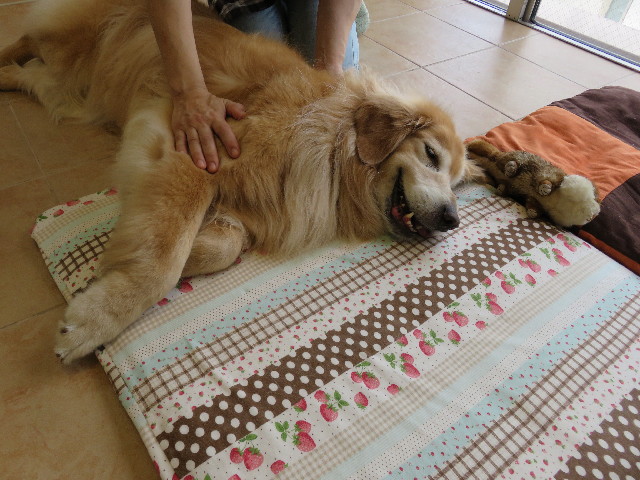 ファイル 5070-4.jpg