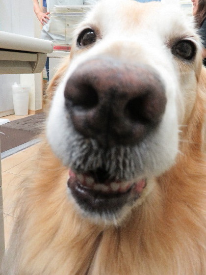 ファイル 5076-2.jpg