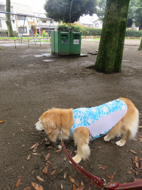 ファイル 5076-3.jpg