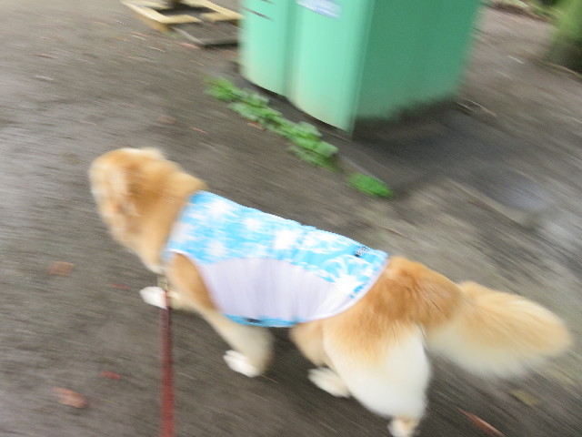 ファイル 5076-4.jpg