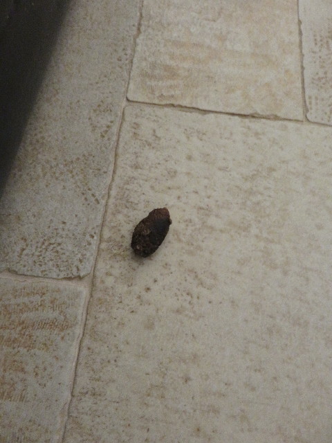 ファイル 5076-5.jpg