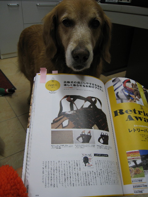 ファイル 508-2.jpg