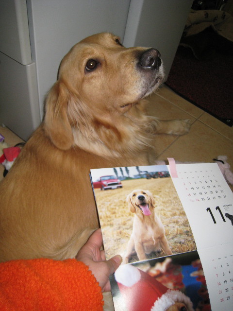 ファイル 508-3.jpg