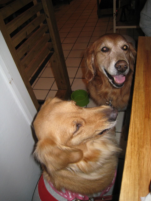 ファイル 508-4.jpg