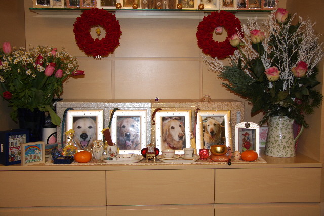 ファイル 508-5.jpg