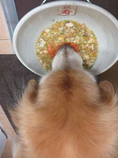 ファイル 5088-5.jpg